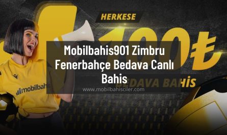 Mobilbahis901 Zimbru Fenerbahçe